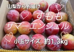 すもも サマーエンジェル 約１.３㎏のサムネイル