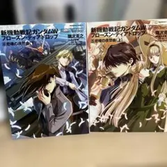 ガンダムW Frozen Teardrop ドラマCD ガンダムエース付録 - メルカリ