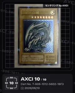 2026年最新】青眼の白龍 レリーフの人気アイテム - メルカリ