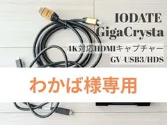 2026年最新】iodata gigacrystaの人気アイテム - メルカリ