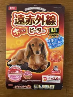 Item thumbnail for item c5be535b-06fb-4bf8-89be-2f87a5740dfa