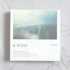 新品 Nオーガニック&wolf UVセラムリキッドファンデーション　UF002
