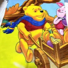 ウィニー・ザ・プー フリース ブランケット 毛布 プーさん Disney