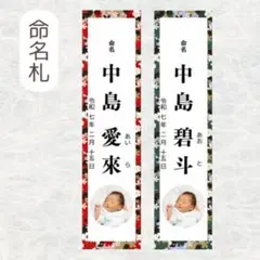 Item thumbnail for item 01f3ac1f-0295-4818-bee7-45dc25f17a52