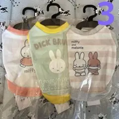 Item thumbnail for item 87416034-23b5-4b44-af87-5fd0a2885b98