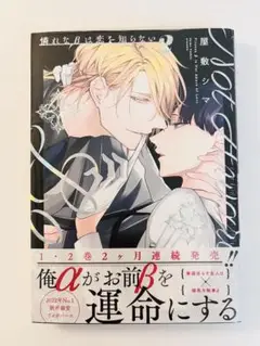【新品】憐れなβは恋を知らない 2