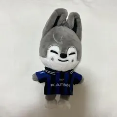 バンチャン　ウルフチャン　straykids skzoo KARMA