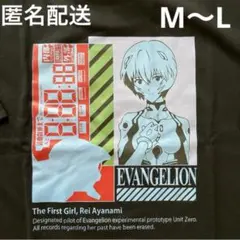 Item thumbnail for item 8e0c6956-daa2-4e7a-8457-7ccca88c1b2f