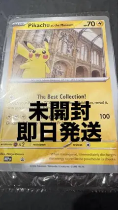 Pikachu at the Museum ピカチュウ ロンドン自然史博物館 - メルカリ