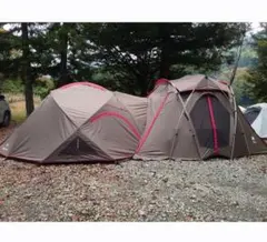 2025年最新】リビングシェルsの人気アイテム - メルカリ