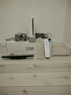 Nintendo Wii RVL-S-WAAG