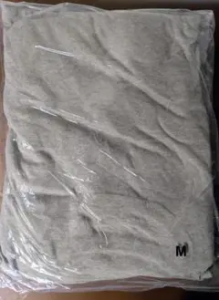 Item thumbnail for item 265a90f2-004a-4723-b2b2-2244807db6e1