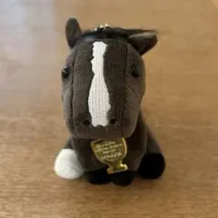 イクイノックス アイドルホース JRA70周年 ウェルカムチャンスA賞 イクイノックス アイドルホース A賞 welcomeチャンス 70周年記念