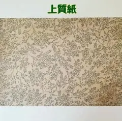 Item thumbnail for item 2742523d-34c8-4e8e-a14f-b741a9cd0b52