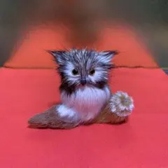 Item thumbnail for item df97dbfb-5d7e-4ae7-b5ba-81123ee47c4d