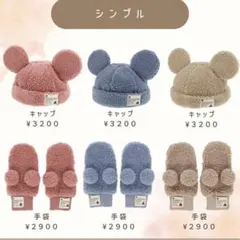 ディズニーグッズ (購入者が決定してます)