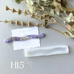 H15