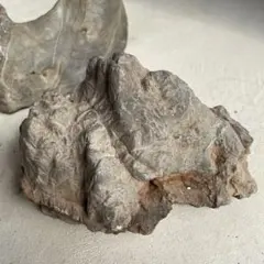 2026年最新】古谷石の人気アイテム - メルカリ