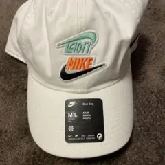 韓国限定 NIKE カスタム
