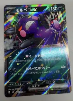ポケモンカード モルペコex 他 5枚セット 新品未使用です - メルカリ