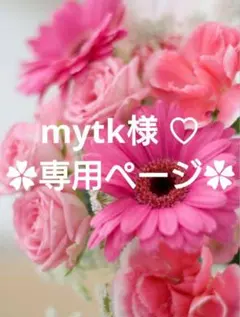 mytk様 リクエスト 4点 まとめ商品♡