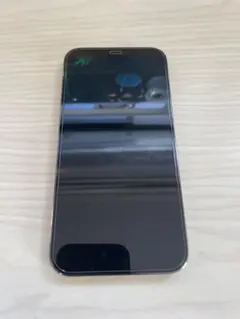 Apple iPhone 12 Pro グラファイト