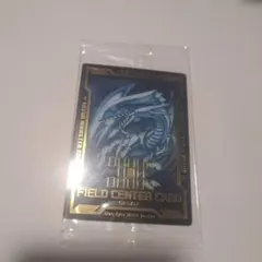 真紅眼の黒竜 フィールドセンターカード 遊戯王 透けPlastic - メルカリ