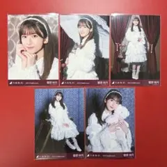 乃木坂46 生写真 菅原咲月 ハロウィン 2023 コンプ