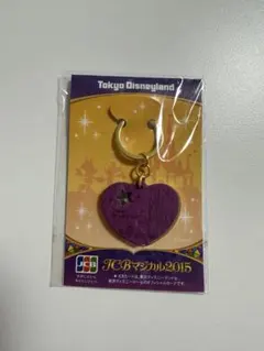 非売品　JCBマジカル2015 ディズニーランド