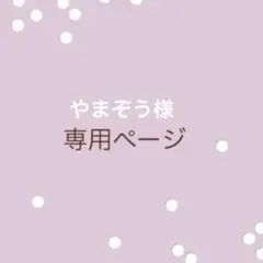 やまぞう様専用