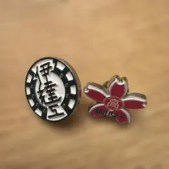 ハイキュー!! 高校モチーフピンバッジ 伊達工　新山女子のサムネイル