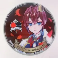 ツイステ リドル・ローズハート 3Dマグネット