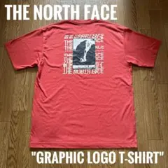 THE NORTH FACE graphic logo T-shirt L