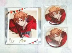 ツイステッドワンダーランド　くつろぎマイルームver.　エース