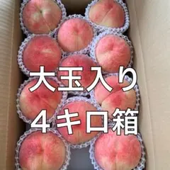 ② クール便　桃　加工用 4キロ箱　翌日午前中受取限定のサムネイル