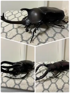 カブトムシフィギュアセット