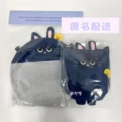 RIIZE 東京ドーム ファンライトバッグ うちわホルダー ウォンビン