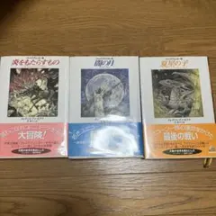 Breakエネルギー 炎 鋼 フェアリー - メルカリ