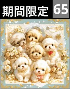 期間限定レアパネル生地　新柄　シーズー　犬パネル生地