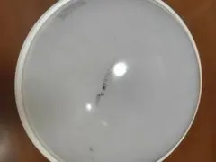 DAIKO シーリングライト 小傷あり