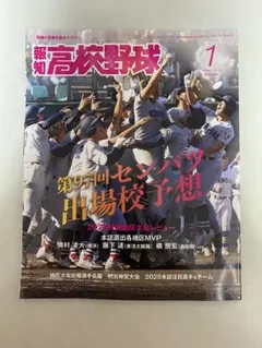 Item thumbnail for item 063f8d38-2794-416e-925d-56bc6e91cc38