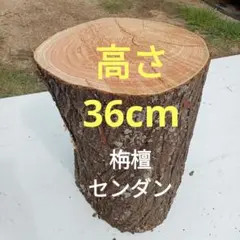 栴檀（センダン）　丸太　（北西9）