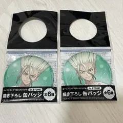 Dr.STONE 石神千空 缶バッジ　まとめ売り Dr.STONE 石神千空 缶バッジ 30個セット - メルカリ