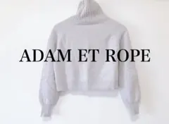 ADAM ET ROPÉ 長袖 ニット セーター フリーサイズ ウール100%
