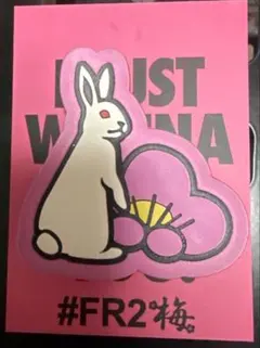 2025年最新】fr2 梅の人気アイテム - メルカリ