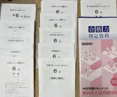 user_d5547334 ⭐︎最新版フルセット② SAPIXサピックス6年 2024年度入試用 SAPIX中学受験ガイド | SAPIX小学部 |本 | 通販 | Amazon