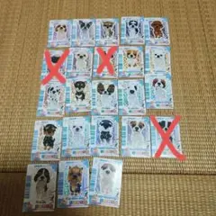 2025年最新】ワンタメカードの人気アイテム - メルカリ