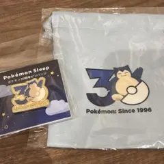 ポケモンスリープ　イーブイ　ピンバッジ　巾着　キーホルダー　ステッカー ポケモンスリープ イーブイ ステッカー キーホルダー 巾着 コースター