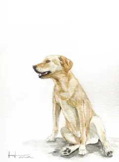 【ラブラドールのいる時間】