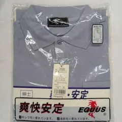 Item thumbnail for item 55348156-1666-49d1-b182-ac6e0711a9a4